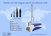 Máy xóa sẹo phẫu thuật bằng laser CO2 10600nm di động dành cho thú cưng
