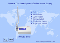 Máy cắt laser Co2 cho thú y cho phẫu thuật động vật