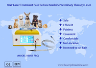Liệu pháp Laser thú y điốt 980nm để chữa lành vết thương cho thú cưng