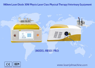 Vật nuôi Phục hồi Đau Phẫu thuật Thiết bị Laser Trị liệu Thú y bằng Laser Diode 980nm