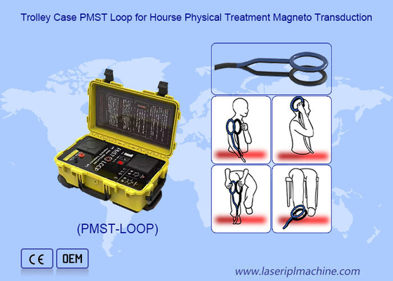 Physio Magneto Therapy Liệu pháp từ trường với dao động 4500 HZ