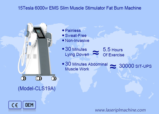 Máy điêu khắc Tesla EMS để đốt cháy chất béo và điêu khắc cơ thể