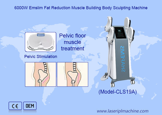 Phương pháp điều trị đùi ức chế cơ bắp EMS để sửa chữa cơ sàn chậu