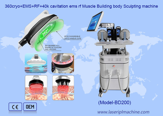 Máy giảm cân cơ thể 2 trong 1 loại bỏ cellulite EMS xây dựng cơ bắp Cryotherapy