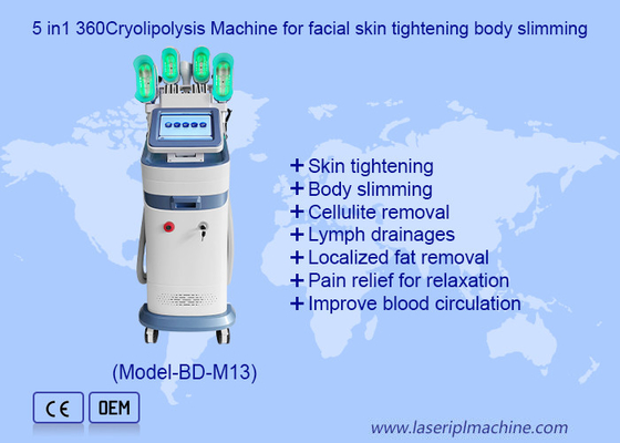 Máy giảm béo âm thanh lưỡng cực RF 40KHZ với hệ thống vận hành siêu âm