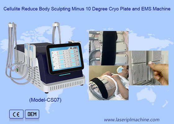 2 trong 1 Cryo Plate và EMS Máy giảm cân để đông lạnh chất béo