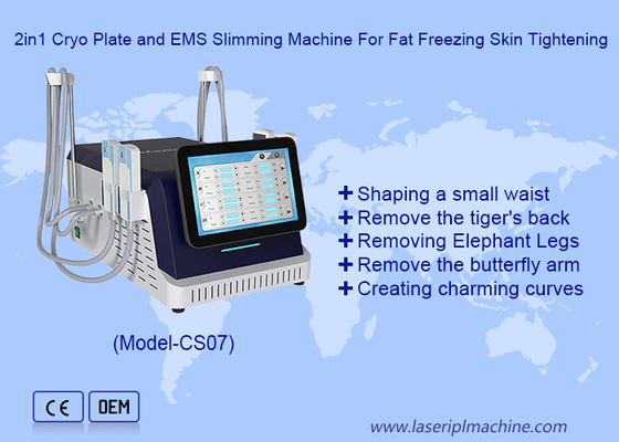 2 trong 1 Cryo Plate và EMS Máy giảm cân để đông lạnh chất béo