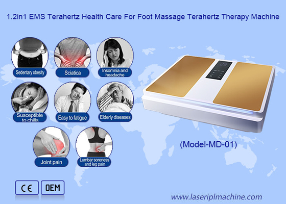2in1 EMS Terahertz Chăm sóc sức khỏe Cho Máy Massage Terahertz