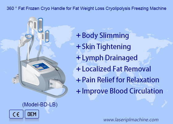 3 tay cầm Cryolipoliyse Máy đông lạnh mỡ cho Double Chine và Slimming cơ thể