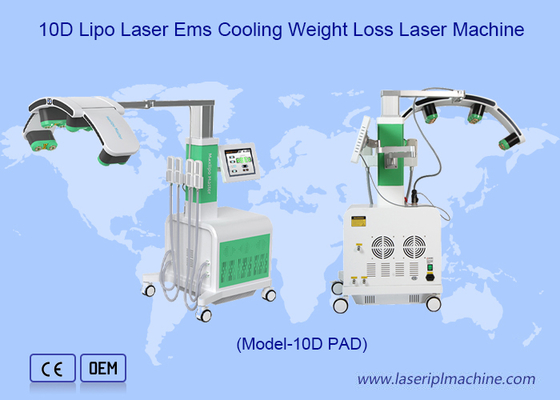 Green Red Cryo Pads 10d Laser Fat Removal Maxlipo Master Device Thiết bị chính