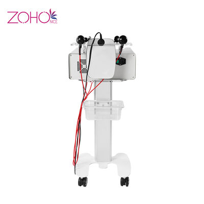 Giá tốt. Dao cắt mỡ Định hình cơ thể Trẻ hóa da Máy làm đẹp 220v Rf RET CET trực tuyến