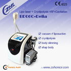 300W Cavitation RF Cryolipolysis Slimming Machine  Fat Freezing  Weight Loss