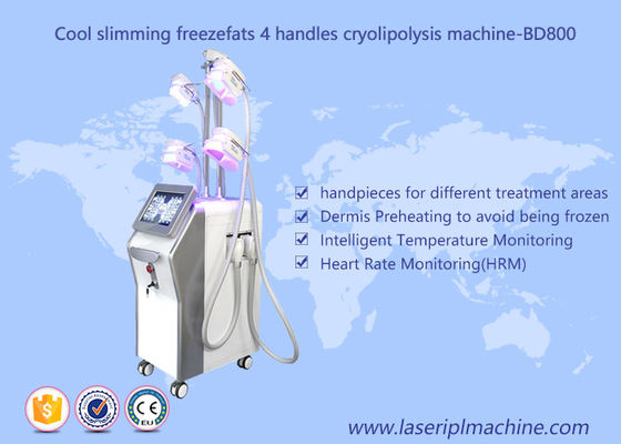 Giá tốt. 4 Xử lý giảm cân bằng máy Cryolipolysis / Fat Freezing chân không giảm béo trực tuyến