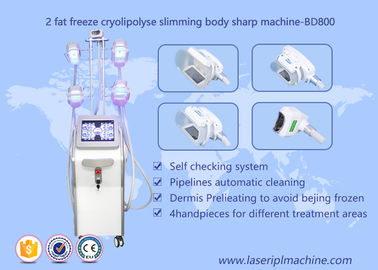 Máy giảm béo Shape Body Cryolipolysis, Thiết bị làm đẹp Lipo Cryo Cryolipolysis