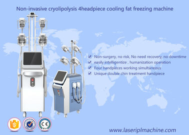 Cryolipolysis Fat Freezing Fat Slim Machine Máy hút chân không