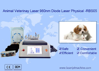 Động vật Sử dụng Máy Laser Diode 980nm Diode Trắng Chức năng Đa chức năng