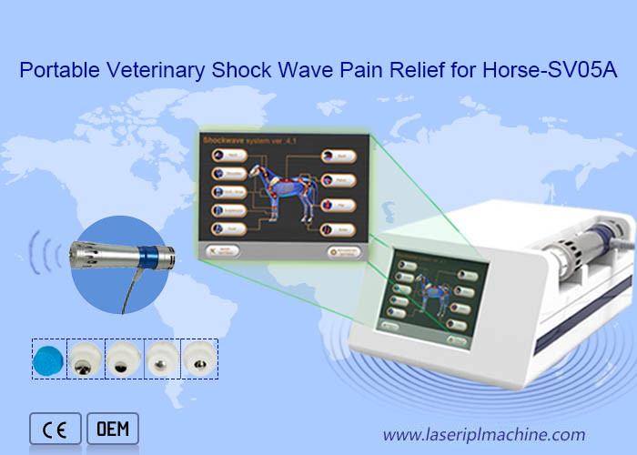Máy điều trị thú y bằng sóng xung kích cho ngựa