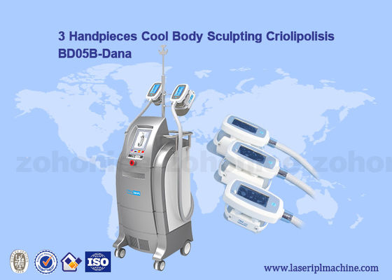 Giá tốt. Vacuum Cryolipolysis / Cool Body Sculpting Membrane / Criolipolisis Cellulite Reduction Machine trực tuyến