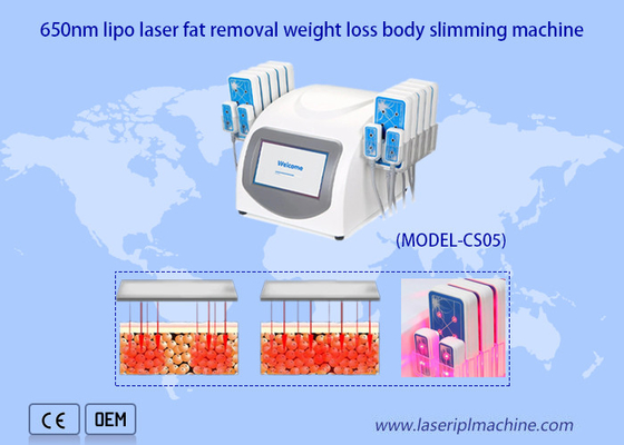 Máy Laser Lipo 650nm cầm tay Ultrashape Giảm béo toàn thân