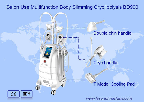 Giá tốt. Máy giảm béo Cryolipolysis giảm béo Hút mỡ đông lạnh 80kpa trực tuyến