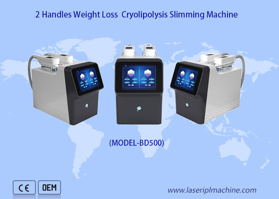 Giá tốt. Máy giảm béo Cryolipolysis 360 độ 2 tay cầm Giảm cân di động trực tuyến