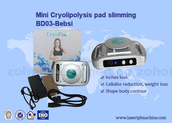 Giá tốt. Sử dụng tại nhà Máy Cryolipolysis mini 220v / 110v Giảm béo trực tuyến
