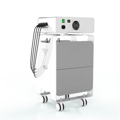 Giá tốt. Thiết bị Eswt tần số vô tuyến Ems Giảm đau lưng Chăm sóc sức khỏe trực tuyến