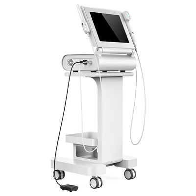 Giá tốt. 15 Inches Screen 2 In 1 Ultrasound Face Lift Machine / Vaginal Tightening Equipment trực tuyến