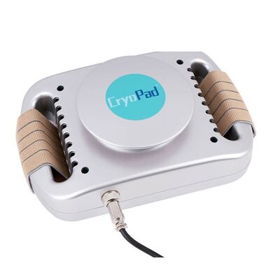 Giá tốt. Sử dụng tại nhà Máy Cryolipolysis mini 220v / 110v Giảm béo trực tuyến