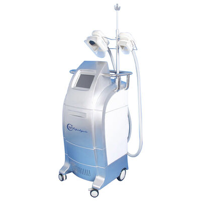 Giá tốt. Vacuum Cryolipolysis / Cool Body Sculpting Membrane / Criolipolisis Cellulite Reduction Machine trực tuyến