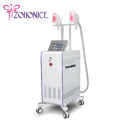 Giá tốt. 2 Changeable Handle Cryolipolysis Slimming Machine With Antifreezing Membrance trực tuyến