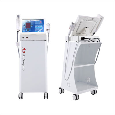 Máy siêu âm 3d Hifu / Làm săn chắc cơ thể giảm béo chính xác