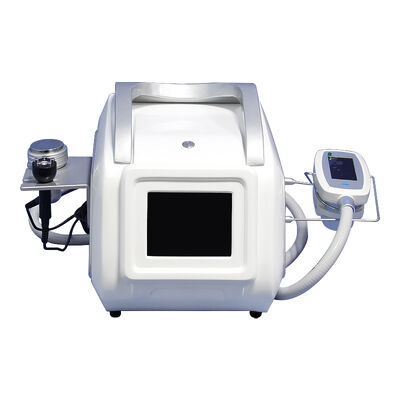 Giá tốt. Máy giảm cân cơ thể Cryolipolysis RF 360 trực tuyến