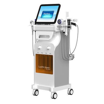 Giá tốt. Máy Oxy Jet RF Plasma 15 inch màn hình cảm ứng loại bỏ mụn đầu đen Hydro Dermabrasion trực tuyến