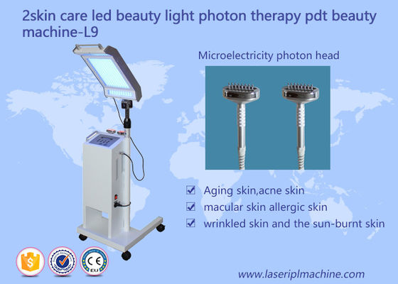 Giá tốt. 10HZ 415mm chăm sóc da nâng mặt PDT LED Beauty Light Therapy Machine trực tuyến