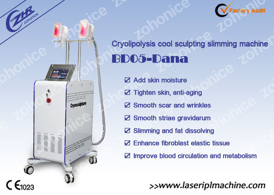 Giá tốt. 2 Changeable Handle Cryolipolysis Slimming Machine With Antifreezing Membrance trực tuyến