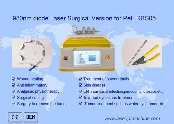 Giá tốt. Phiên bản phẫu thuật loại bỏ lông bằng Diode Laser di động 980 Nm để làm đẹp cho thú cưng trực tuyến